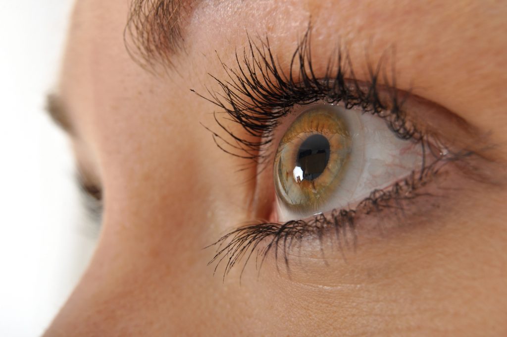 Wie Lange Dürfen Kontaktlinsen In Der Flüssigkeit Bleiben Kontaktlinsen-Pflegemittel Test & Vergleich 2024 - die besten Produkte