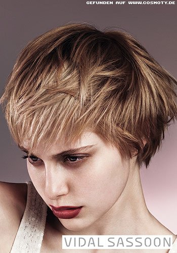 Blonder Pilzkopf mit längerem Deckhaar
