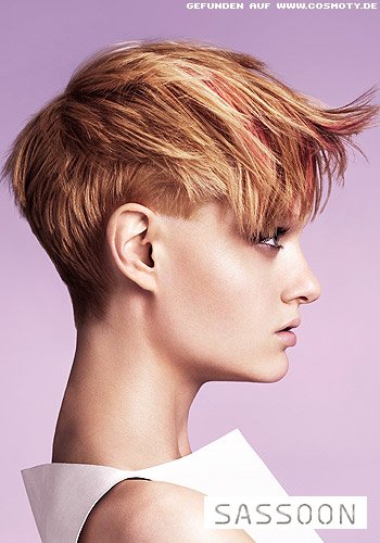 Gestufter Short-Cut mit langem Deckhaar