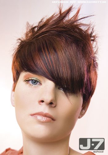 Short-cut mit frech aufgestellten Spitzen