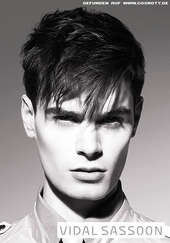 Wildes Styling für langes Deckhaar