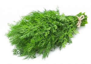 dill