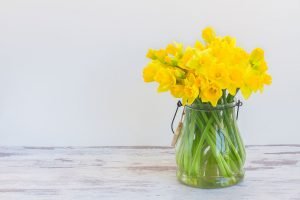 gelbe narzissen in einer vase