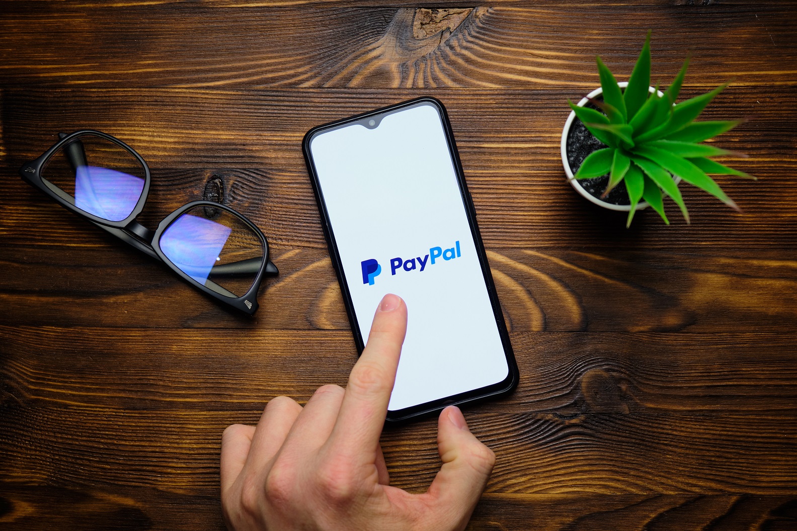 paypal app auf dem smartphoone